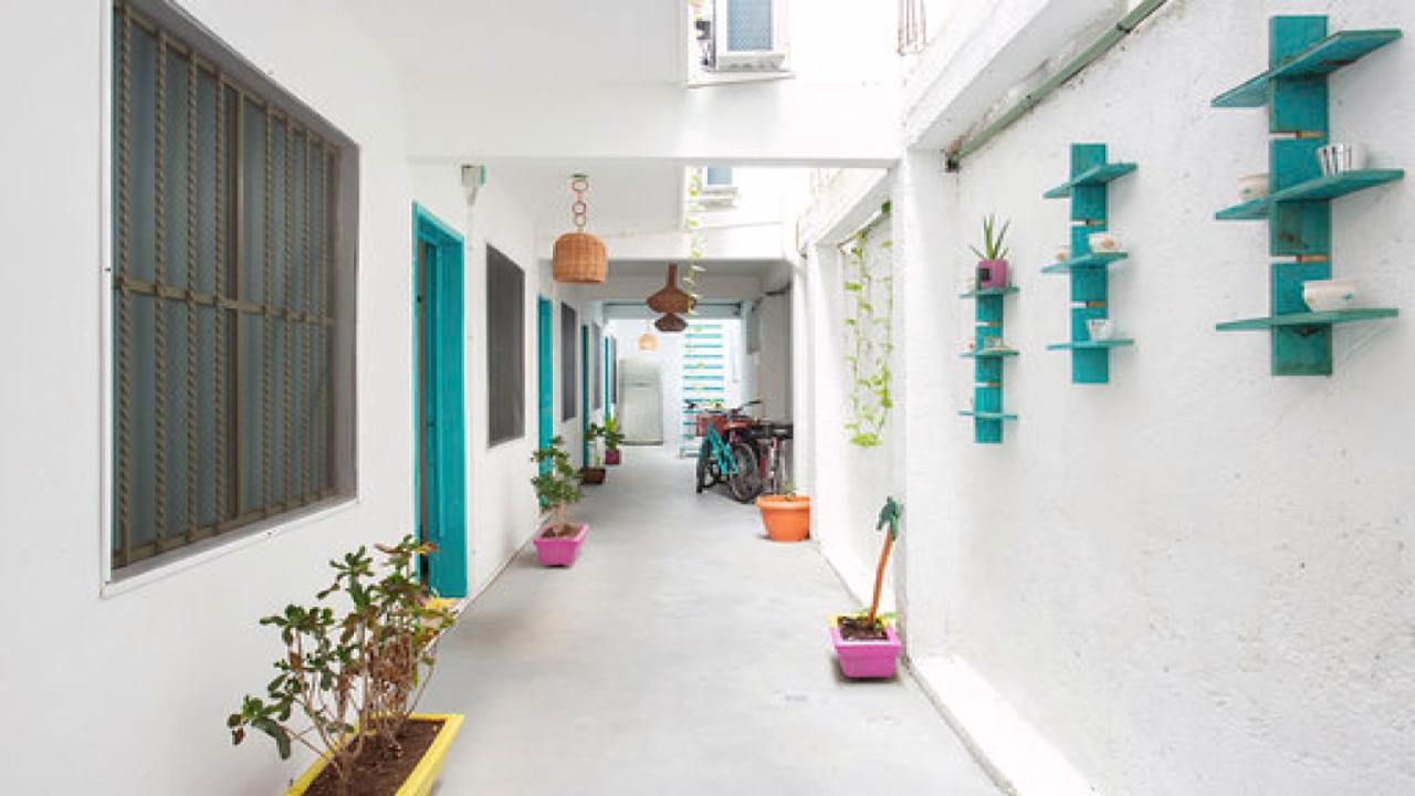 Casa Calido Hotel 科苏梅尔 外观 照片
