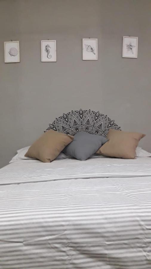 Casa Calido Hotel 科苏梅尔 外观 照片