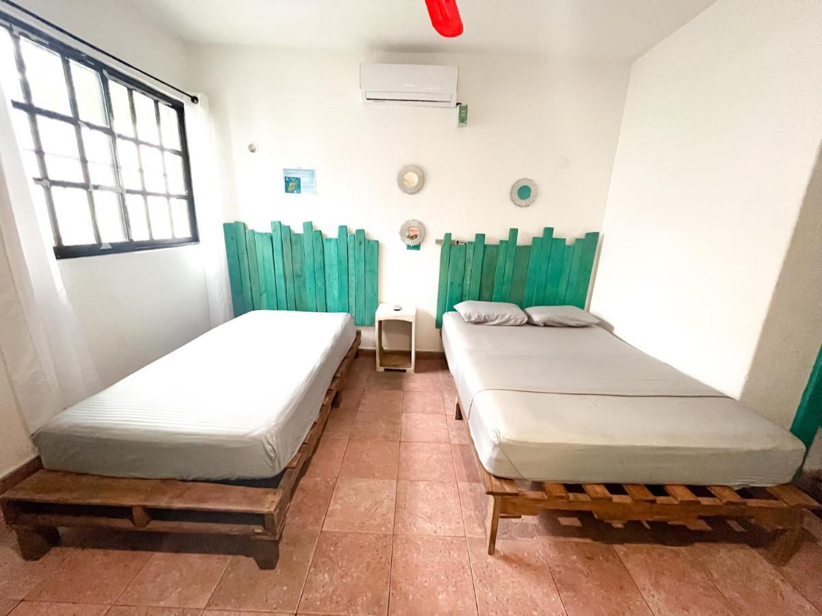 Casa Calido Hotel 科苏梅尔 外观 照片