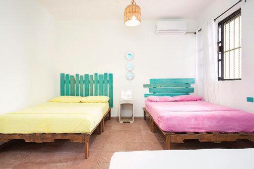 Casa Calido Hotel 科苏梅尔 客房 照片