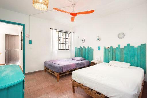 Casa Calido Hotel 科苏梅尔 客房 照片