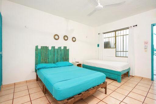 Casa Calido Hotel 科苏梅尔 外观 照片
