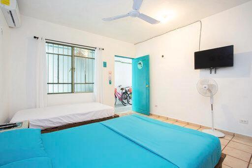 Casa Calido Hotel 科苏梅尔 外观 照片