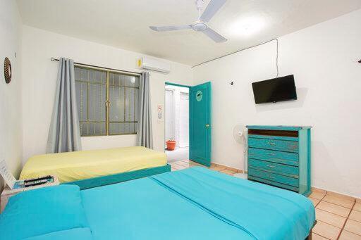 Casa Calido Hotel 科苏梅尔 外观 照片