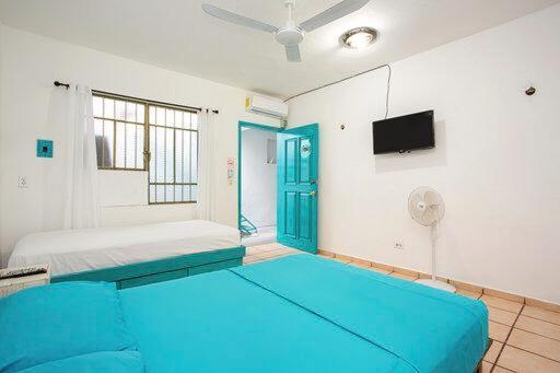 Casa Calido Hotel 科苏梅尔 外观 照片